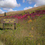 Big Stone Lake Park brown sign