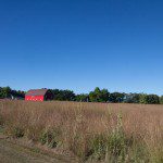 Ney Nature Center
