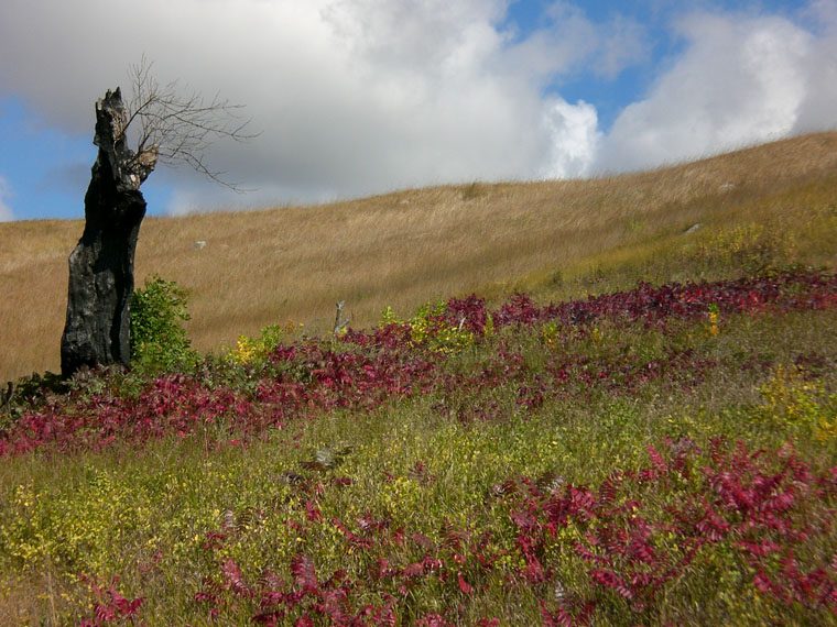 Big Stone Lake State Park Minnesota River Valley Scenic Byway