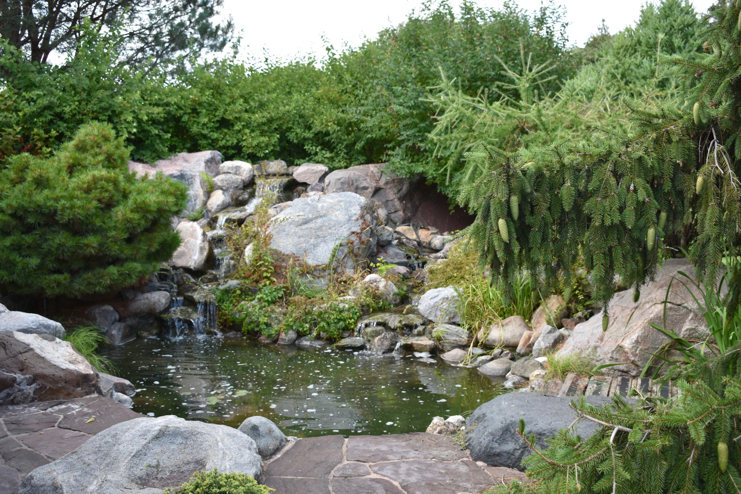 small manmade pond and waterfall