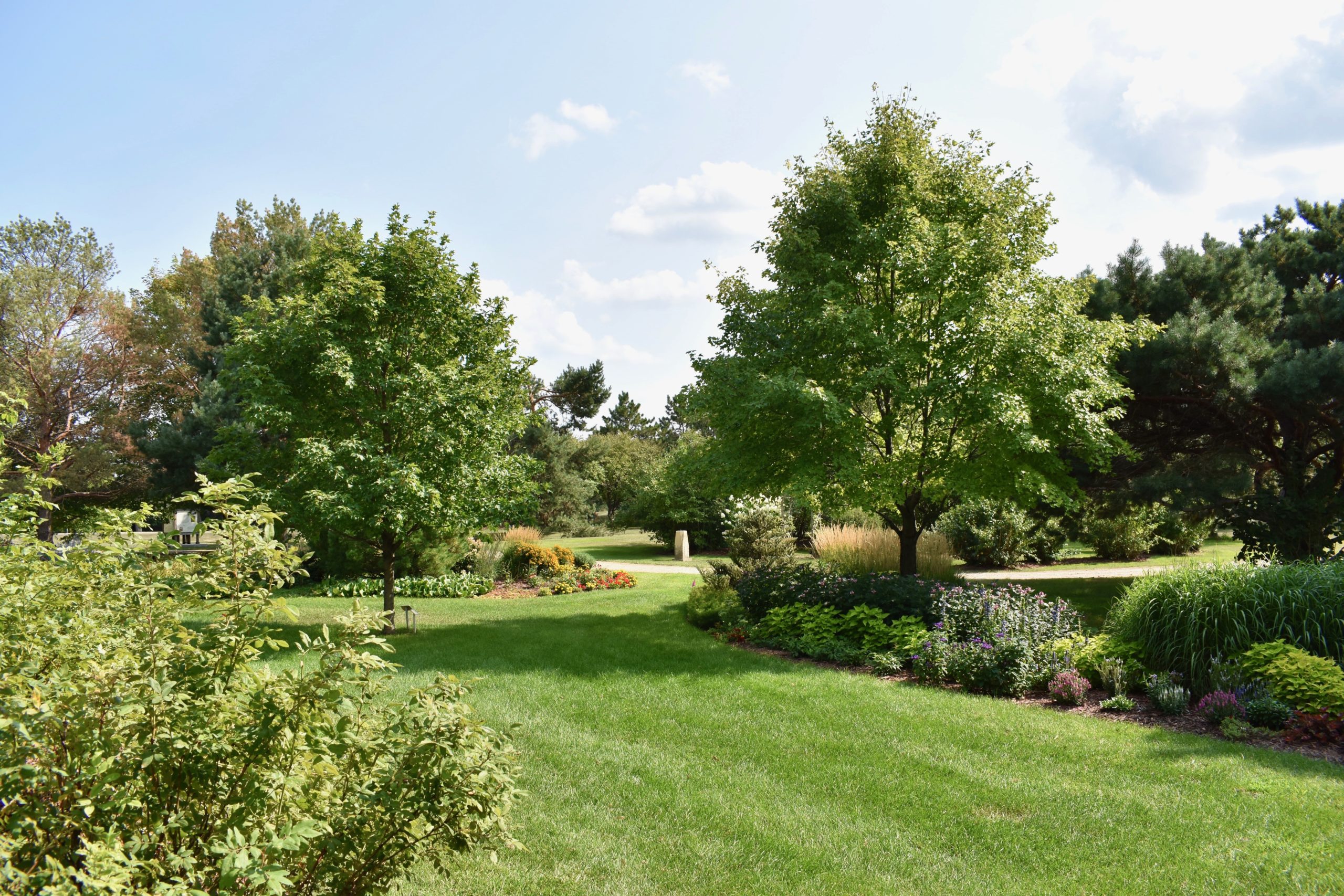 open grass with flower beds
