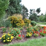flower beds with trees in background