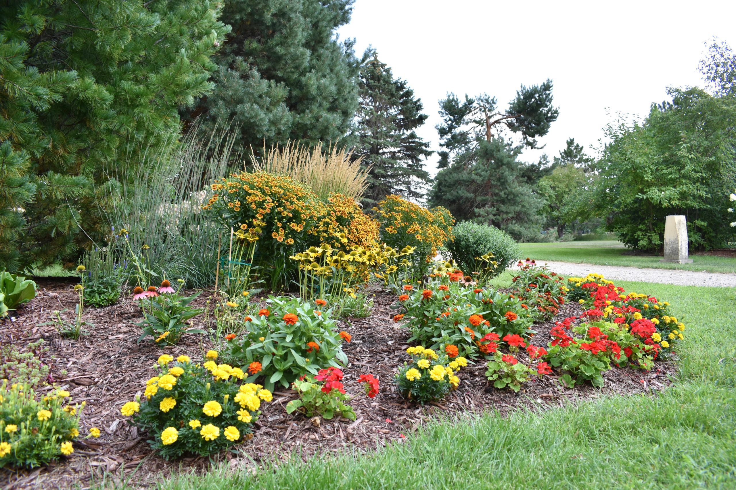 flower beds with trees in background