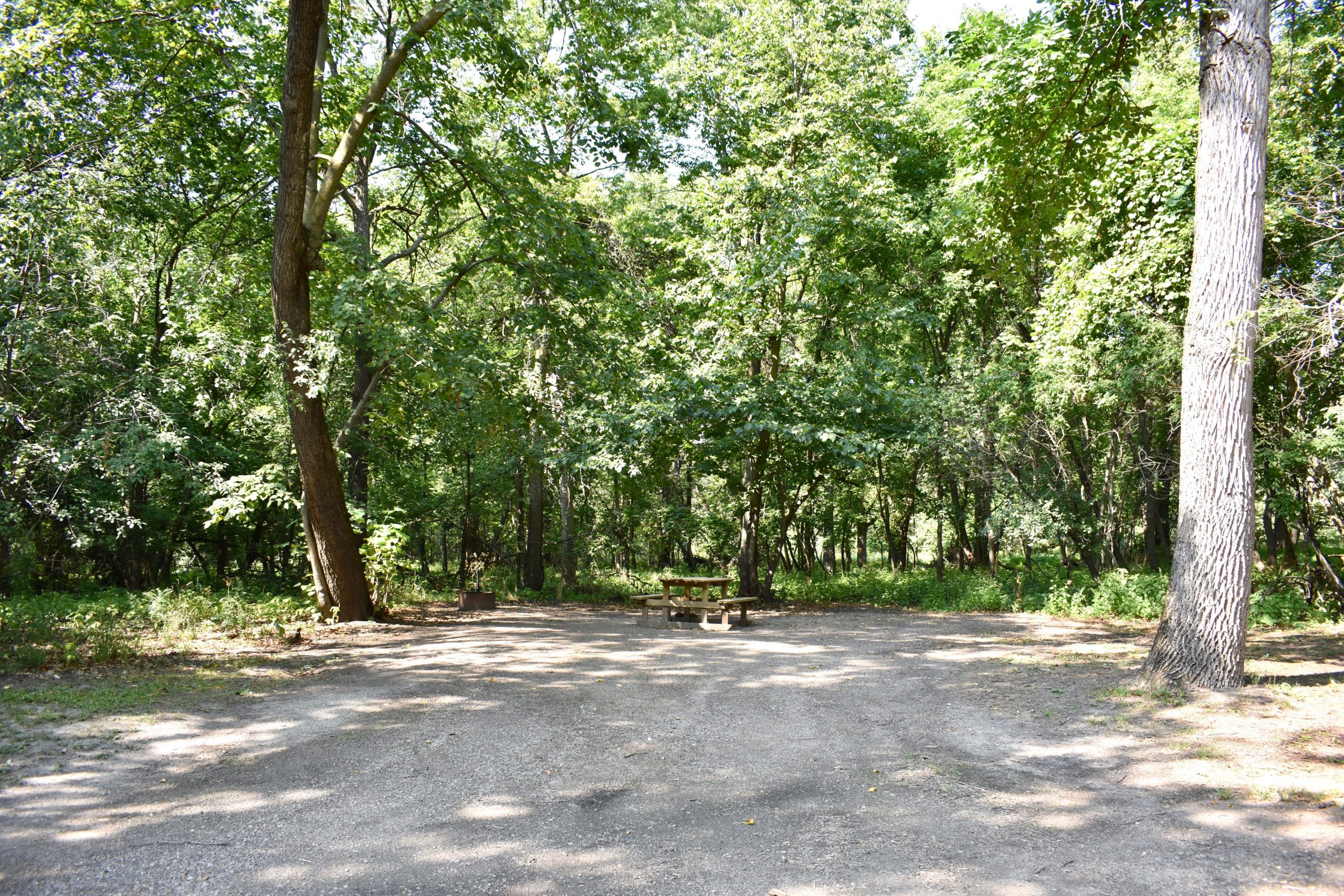 Picnic table in the woods