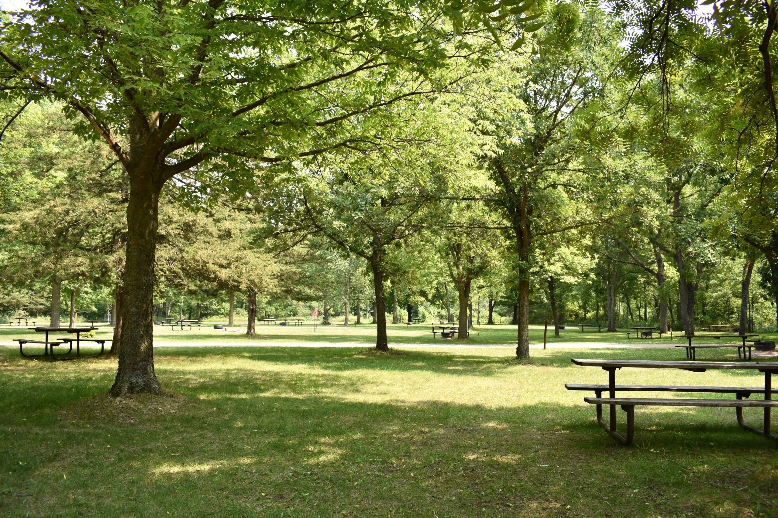 Open grassy area with trees and picnic tables