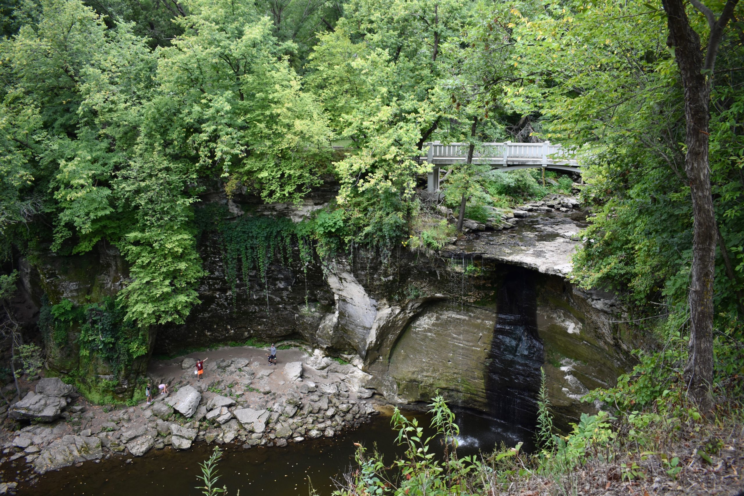 Waterfall surrounded by trees and grasses. Bridge in background