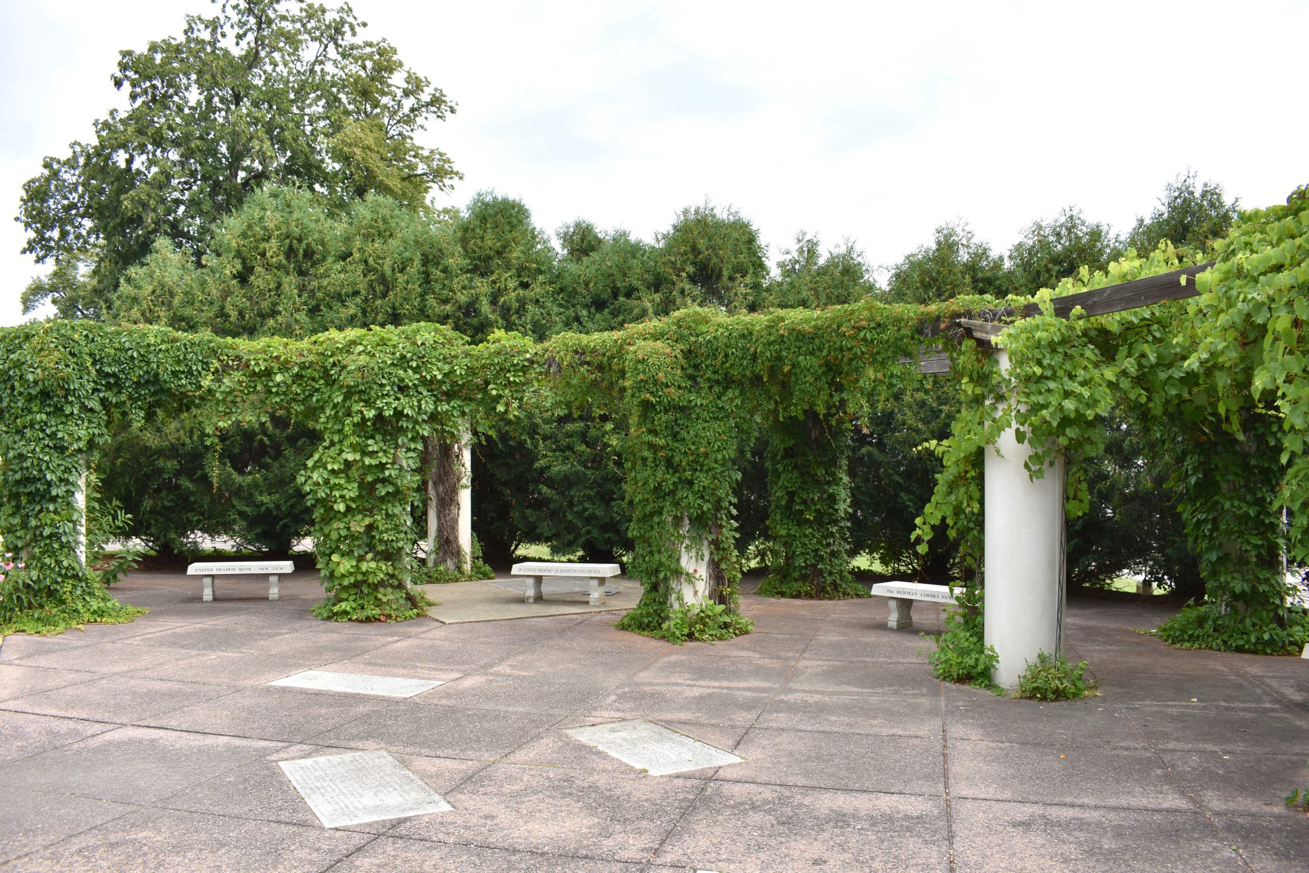 Ivy pillars with benches