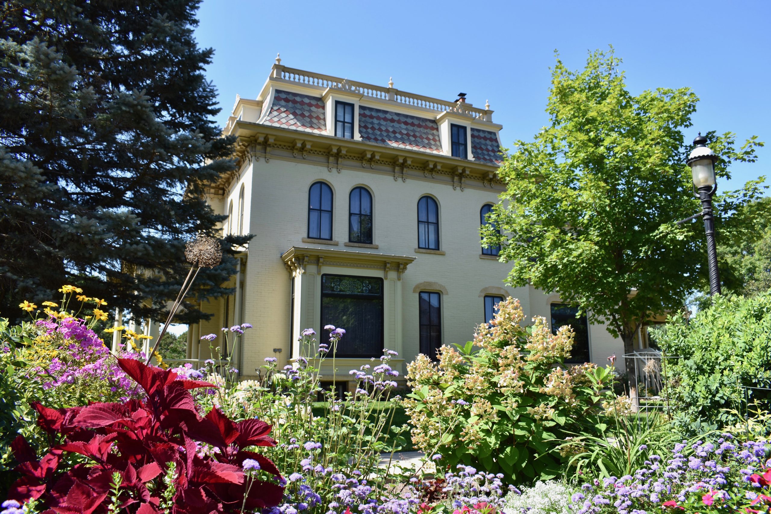 House in background. Flowers in foreground.