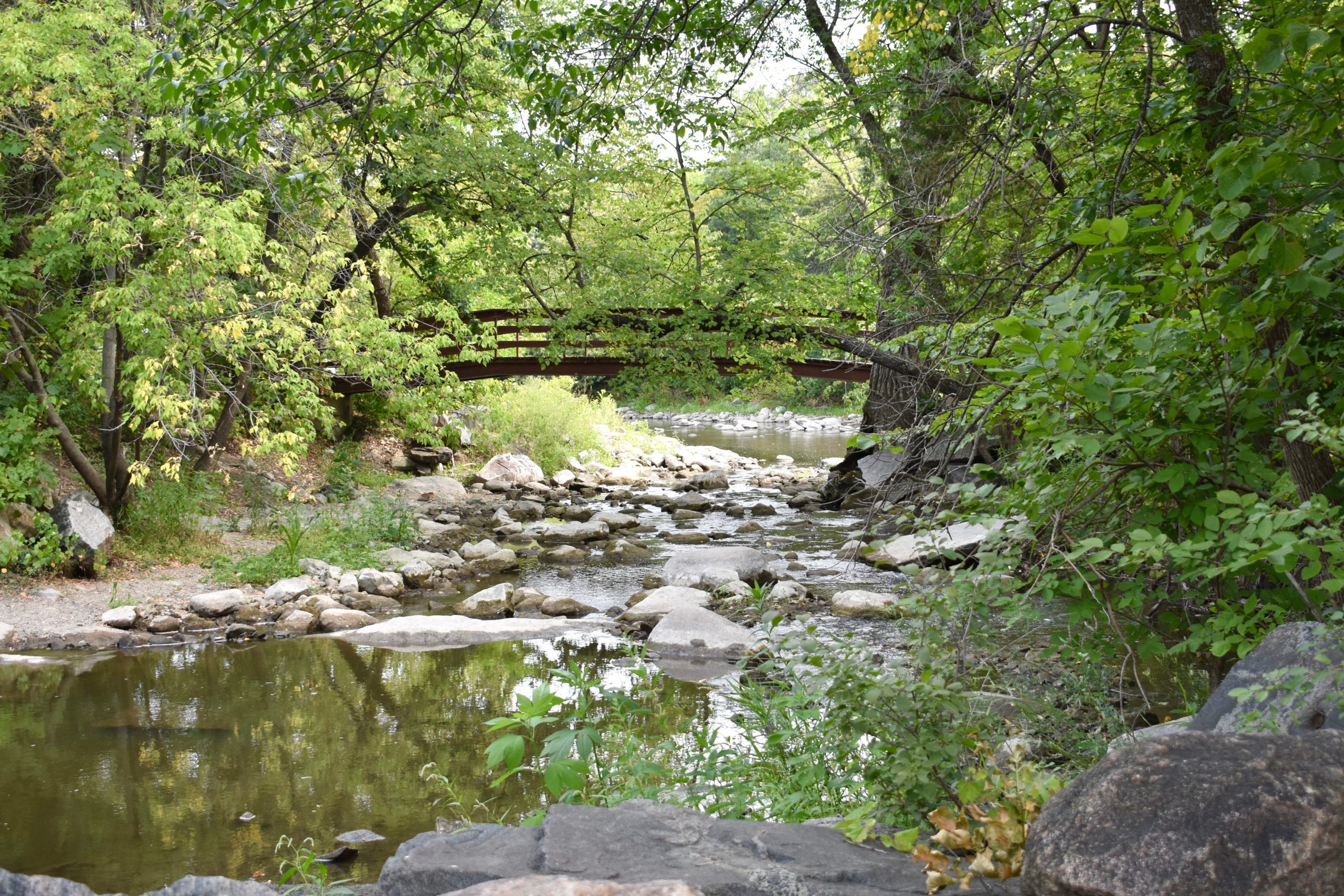 bridge over shallow river. Trees on left and right.