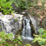 waterfall in background center. Tree leaves surrounding waterfall in foreground