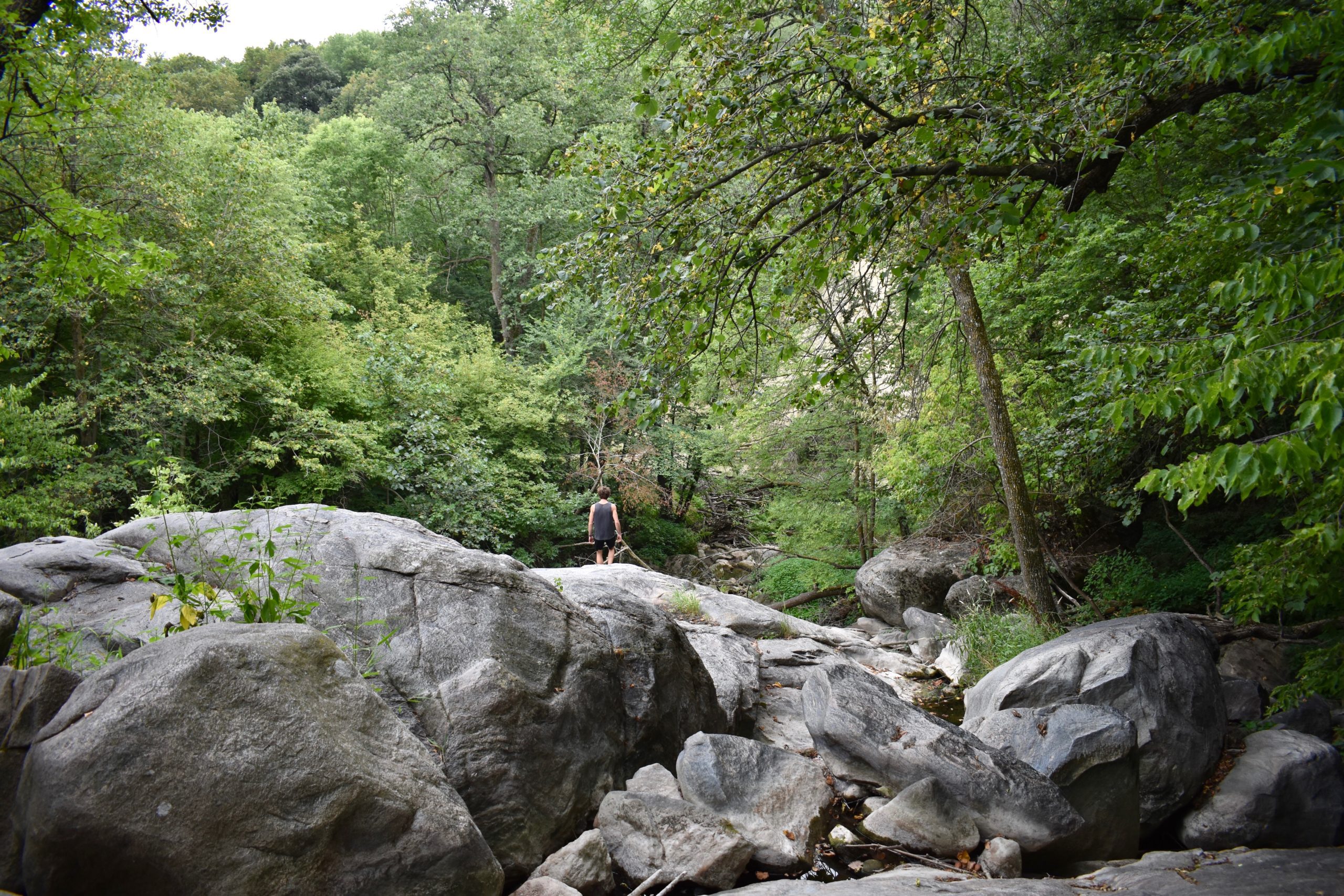 Large rocks with trees on top