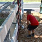 kids feeding petting zoo animals