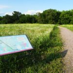 Panel in foreground with trail and trees in background.