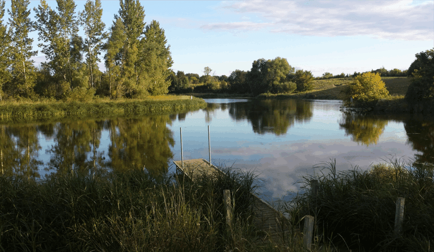 Pond