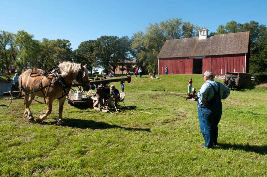 Horse Power Event
